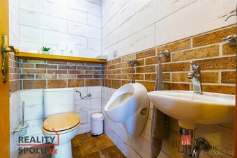 Prodej, domy/rodinný, 298 m2, Pohraniční 304, 69181 Březí, B - 15