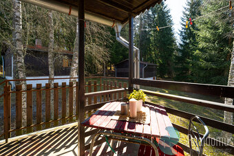 Prodej, ubytovací zařízení, pozemek 3 357 m2, Lipno, Jenišov - 15