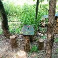 Prodám pozemek u Votic - 1.118 m2 - 15