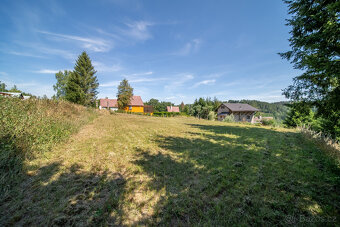 Prodej, pozemek k rekreaci, 829 m2, Zábřeh - Dolní Bušínov - 15
