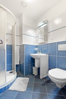 Prodej rodinný dům s penzionem, Nový Jičín, Pod Skalkou - 15