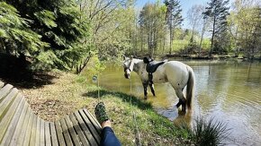 Trekové pastevní ustájení exit34 D1 - 15