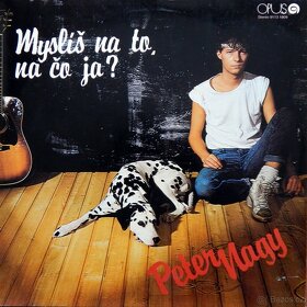 LP Gott, Korn, Modus, Kubišová, Žbirka, L+S aj. - 15