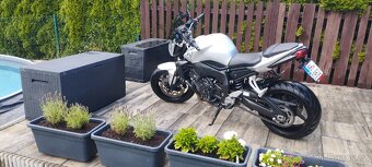 Yamaha fz1n fazer - 15