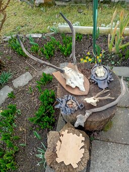 Staré Poškozené Trofeje - 15