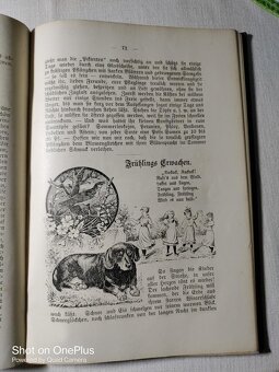 Zahrada mládeže z roku 1902-Marie Teuscher - psáno Šwabachem - 15