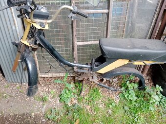 moped - 15