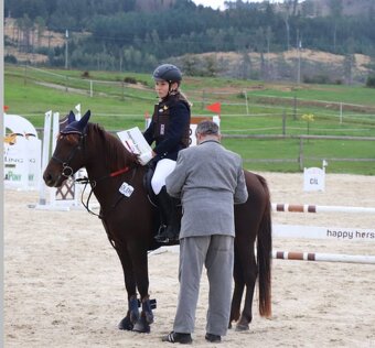 Klisna do sportu a chovu - 15