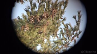 Dalekohled BPC 15X50 Dioptex - 15