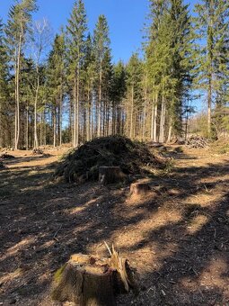 Prodám pozemky v k.ú. Horní Bolíkov Studená, okres Jindřichů - 15