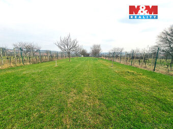 Prodej ovocného sadu, 4096 m², Starý Poddvorov - 15