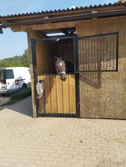 Ustájení koní - Dolní Lánov - volný box od 1.7. - 15