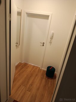 Podnájem bytu 1+ kk - 15
