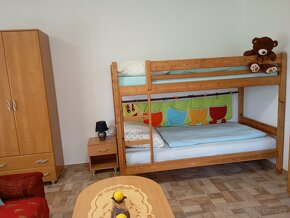 Apartmán na Kovárně - 15