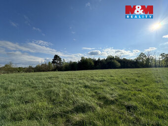 Prodej komerčního pozemku, 10254 m², Homole - 15