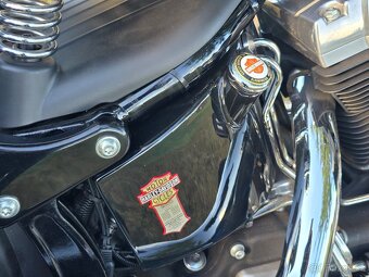 Harley-Davidson FLSTSB Softail Cross Bones 2008 - 15