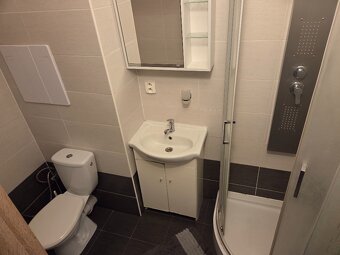 Pronájem bytu 2+1 • kompletně zařízeny 52 m² - 15