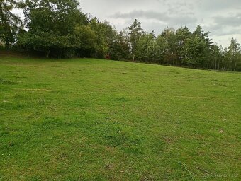 Zahrada v intravilánu obce, výměra: 7.428 m2. - 15