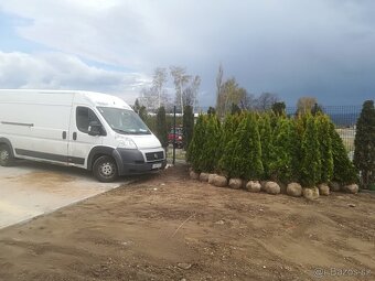 Tuja Smaragd, vavrínovec, červienka - Hodonin - 15