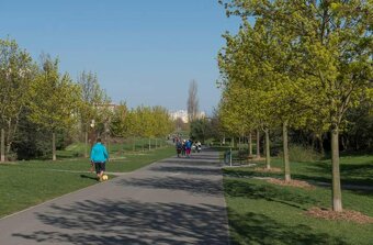 Prodej bytu 2+1 - 15