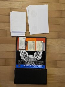 Harley Davidson Sportster  XL 1200 NS Iron - 15
