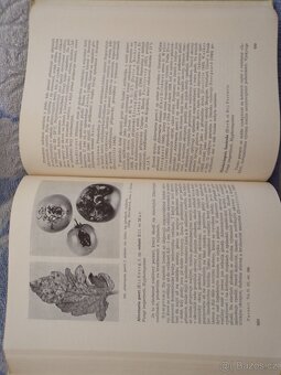 Zemědělská Fytopatologie 1, 2, 3. - 15