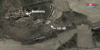 Prodej lesa, 7378 m², Bojanovice - 15