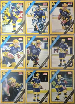 Hokejové karty APS 264 ks - 15