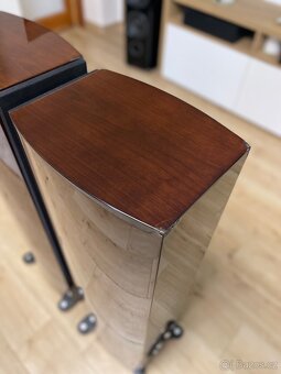 Tannoy Precision 6.4 - 15