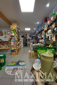 Dům 3+kk o ploše 103 m2 - Městec Králové, Městec Králové - 15