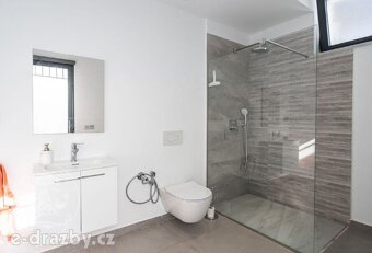 Samostatně stojící vila se 4 ložnicemi zastavěná plocha 338  - 15