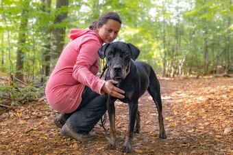 Louisiánský leopardí pes s PP - 15