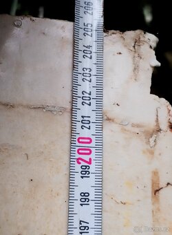 Dvoumetrový PARAPET  síla 3cm 205x30cm. - 15