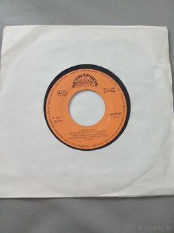 LP desky vinyl malé - 15