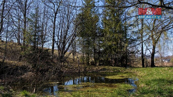 Prodej rodinného domu, 675 m², Trojanovice - 15