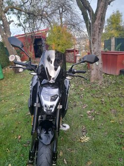 CF MOTO 300 NK r.v.2021 - 15