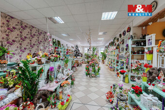 Pronájem květinářství, 133 m², Třemošná, ul. Plzeňská - 15