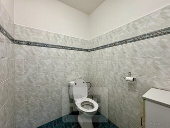 Pronájem bytu 3+kk 62 m², Mikulov, ev.č. N08612 - 15