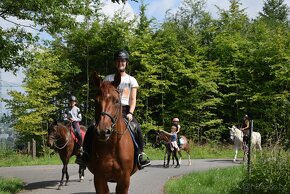 Jezdecký tábor - s intenzivní výukou jízdy na koni - 15