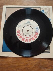 Různé druhy starých gramofonových LP desek AKCE 1+1 ZDARMA - 15