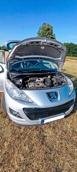 Peugeot 207 R. V. 2011 - 15