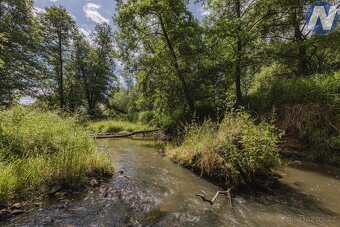 Prodej soustavy rybníků 1939 m2, Kříženec u Mariánských Lázn - 15