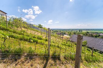 Prodej vinařství Konárovice - 15