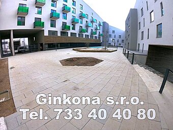 Pronájem bytu 2+kk s terasou 25 m² Plzeň - Papírnická - 15