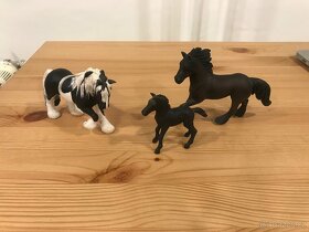 Pony Club - 15