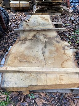 Široké dubové fošny XXL - 15