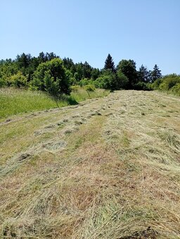 Zahrada u Loun, v obci Brodec, krásné okolí - 15