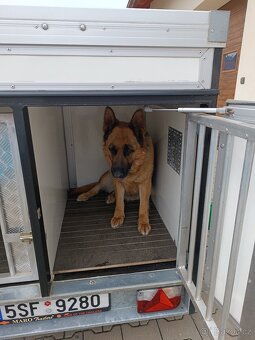 Přívěsný vozík na přepravu psů 4 box - 15