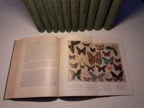 Alfred Brehm, Brehmův život zvířat I.-IV. (11 svazků) 1926 - 15