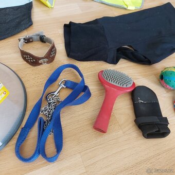 Výbava pro menšího psa (např. pro vipeta) za jednu cenu - 15